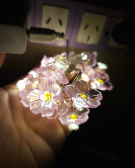 Luces Sakura