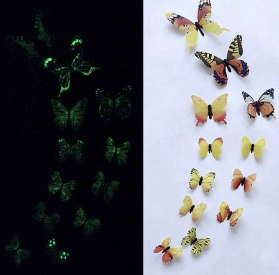 Mariposas Glow in the Dark